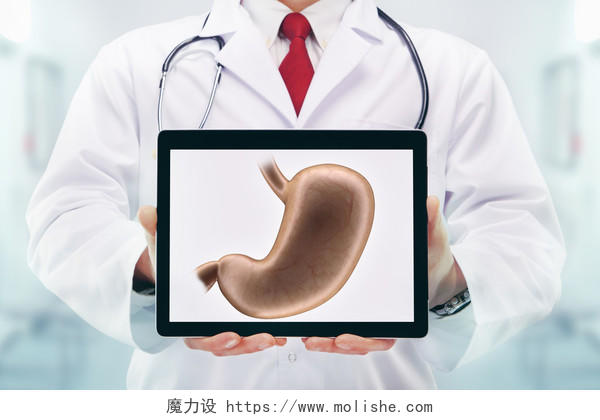 医院里一个医生拿着平板电脑屏幕上显示的是一个胃的图片